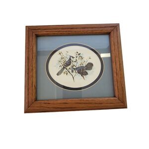 Framed Blue Jay Wall Hanging
